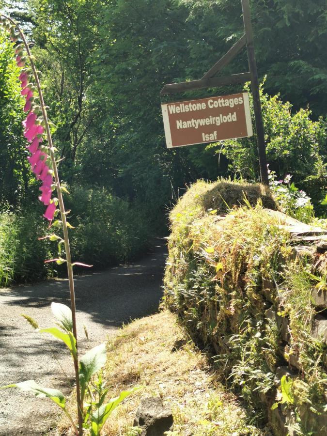 Wellstone Cottages - Ivy Llanfyrnach Ngoại thất bức ảnh
